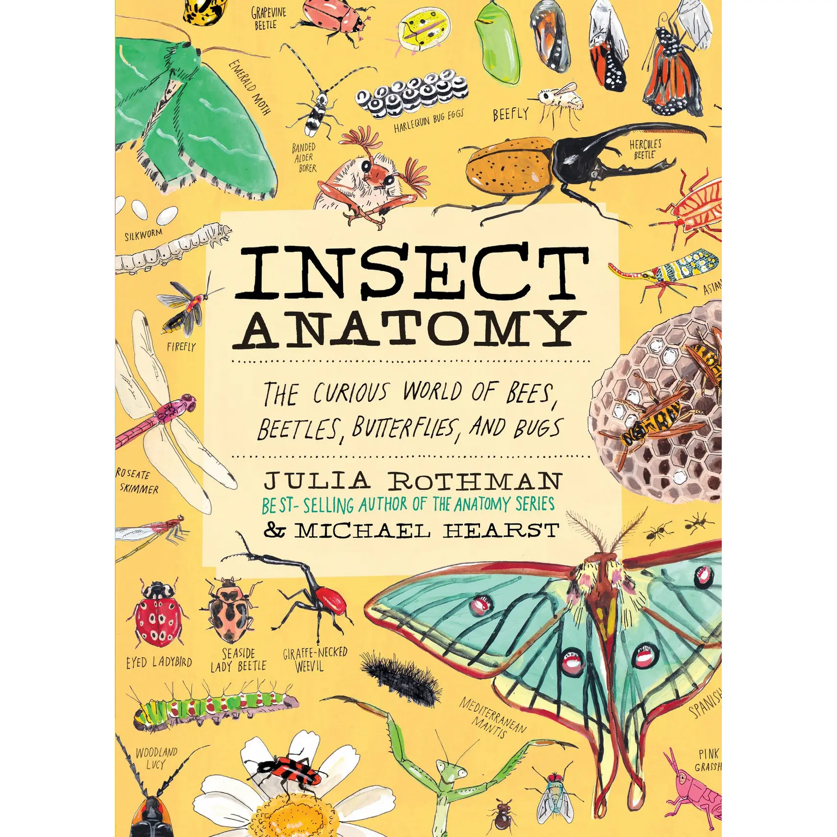 Insect Anatomy