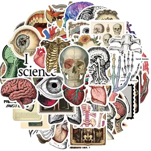 Anatomy Themed Sticker, 50pcs/set Human Body Organ Pattern Sticker, Waterproof Self Adhesive Decor Paper, Decor Sticker for Gift Greeting Card Water Bottle Laptop Phone, Ornaments