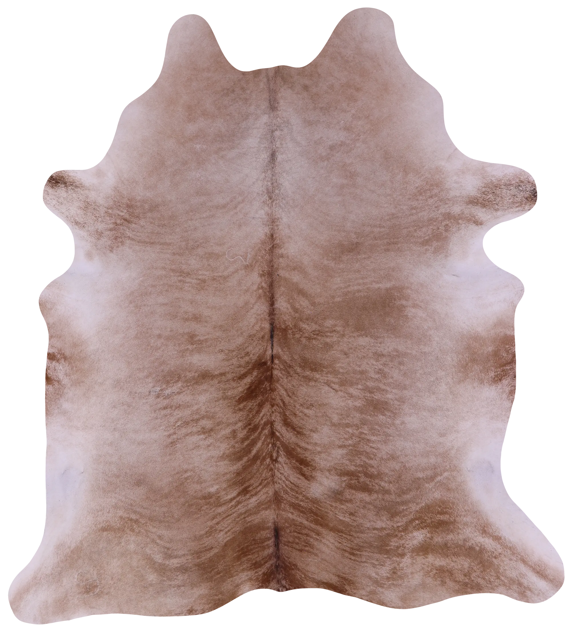 SUPER SALE Light Brindle Natural Cowhide Rug - XX-Large 7' 5"H x 6' 9"W