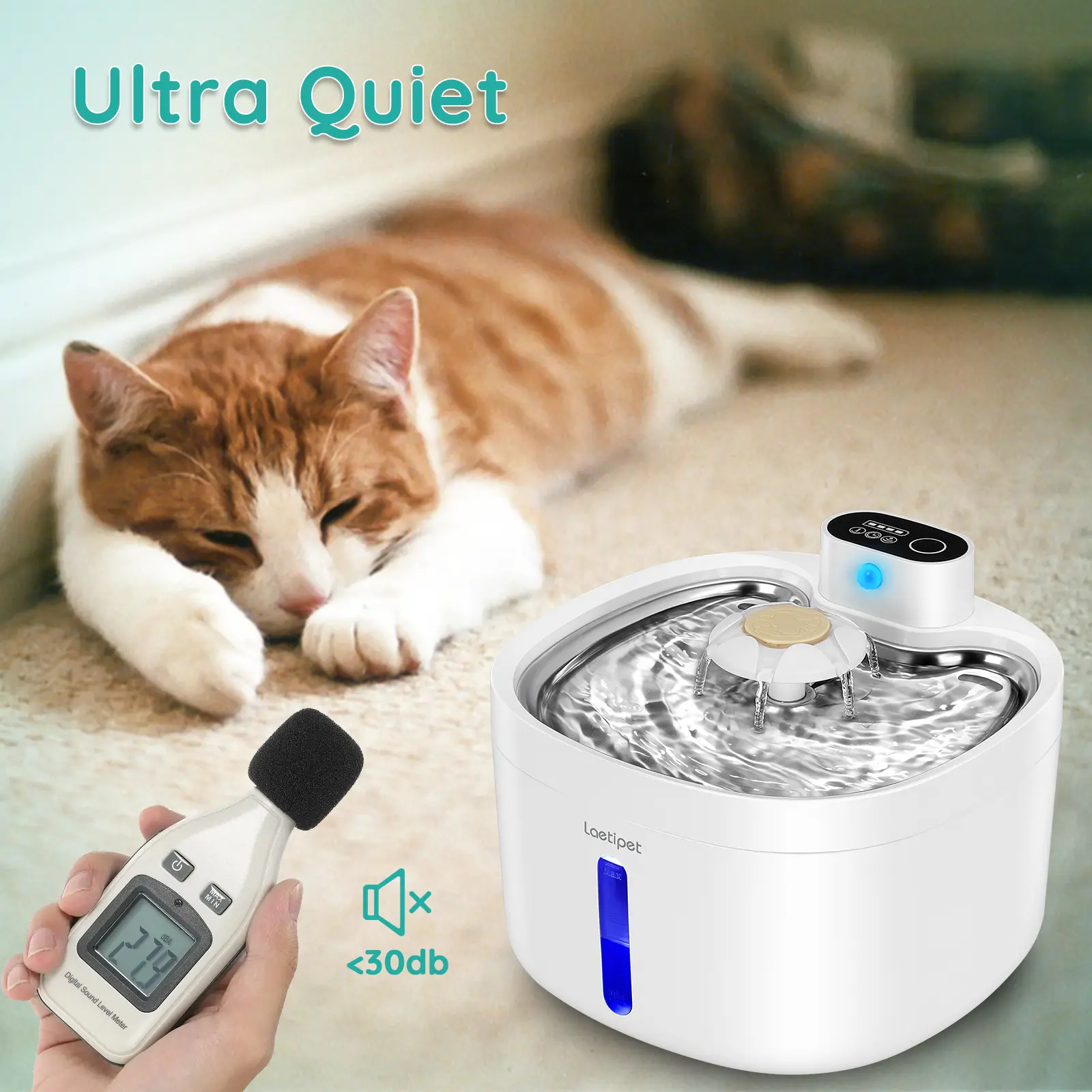 11 inch wide cat kitty litter boxes pans Petmate Litter Pan Top Entry