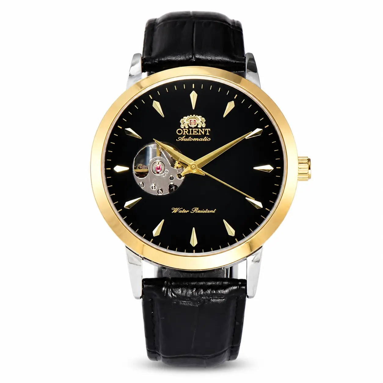 Double Lion mechanical watch - lou - 3