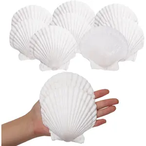 10PCS Sea Shells White Scallop Shells for Crafts Baking Cooking Serving Food, 4-5 inch Large Natural Seashells for DIY Crafts Seashell Beach Decorations for Home Decor