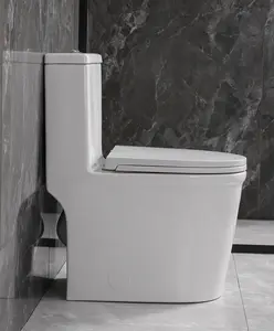WinZo Compact One Piece Toilet 22.8" Depth Modern Short Design Dual Flush for Small Tiny Mini Bathroom 12" Rough-in,White (WZ5079)
