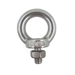 LIFTING EYE BOLT M6 WITH NUT 1200101