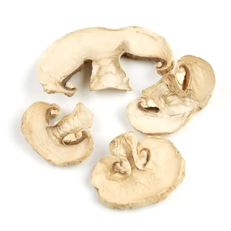 Woodland Foods 005783 Dried Sliced Champignon White Button Mushrooms, 1 Pound