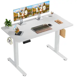 Standing Desk Adjustable Height, 48inch Electric Sit Stand up Desk for Home Office, Modern Rising Work Table for Computer Laptop, Lift Gaming Desk Sturdy Ergonomic Workstation, White