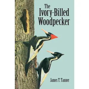 USED-The Ivory-Billed Woodpecker by Tanner, James T. (Paperback)