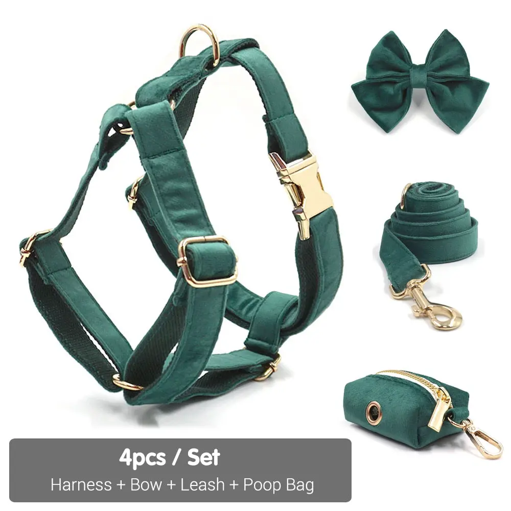 collar bow leash poop bag