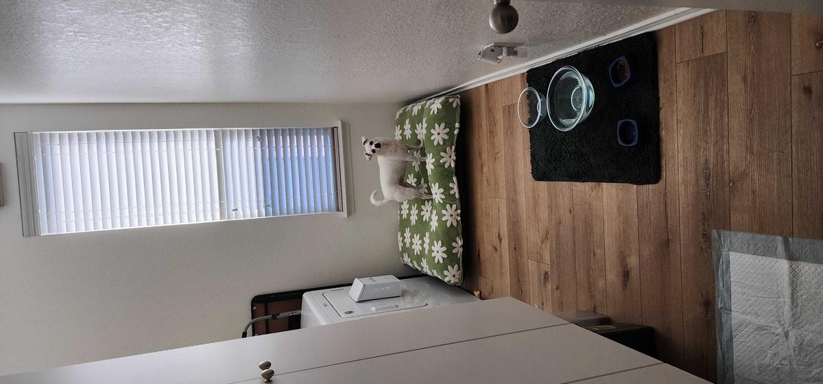 Item: Green, XL(44x32x4)