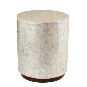 Tasi Capiz Shell Drum Accent Table