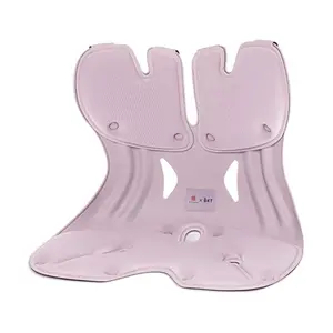 BKT Ergonomic Lumbar Support Cushion & Backrest - "Yang Mi" & Forbidden City Collab - Large Size, Lilac Purple - For Office Chair, Car Seat, Sofa - Posture Corrector for Long Sitting
