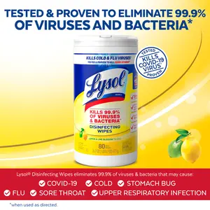 80 Count Lysol Disinfectant Wipes, Multi-Surface Antibacterial Cleaning Wipes with Lemon and Lime Blossom Scent, Ideal for Household Use