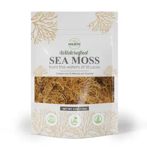 Holistic Depot Raw Wildcrafted Sea Moss From St. Lucia | Organic Wildcrafted & Non-GMO | Makes 5 Jars of Sea Moss Gel
