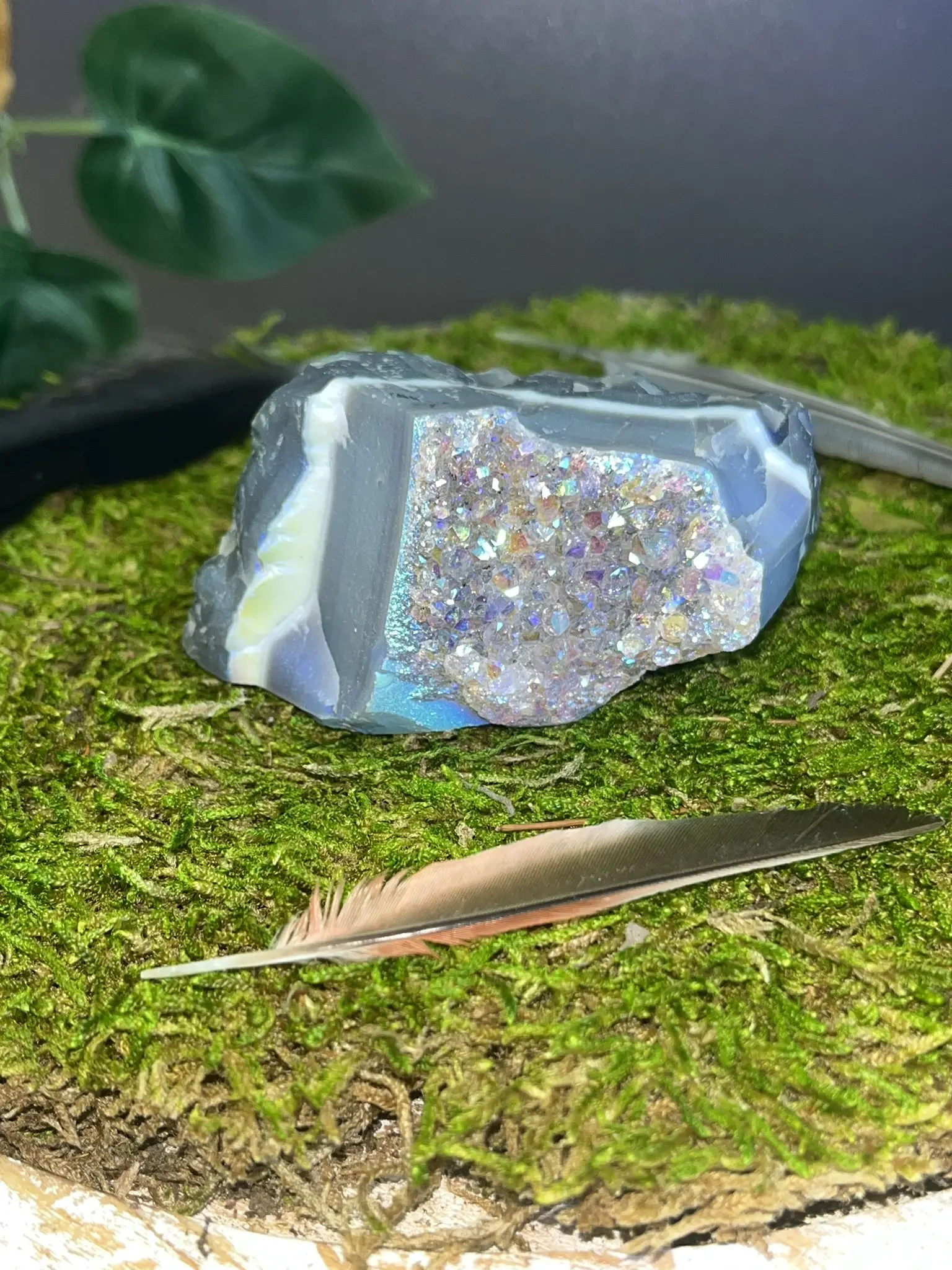 Angel Aura Amethyst Cluster