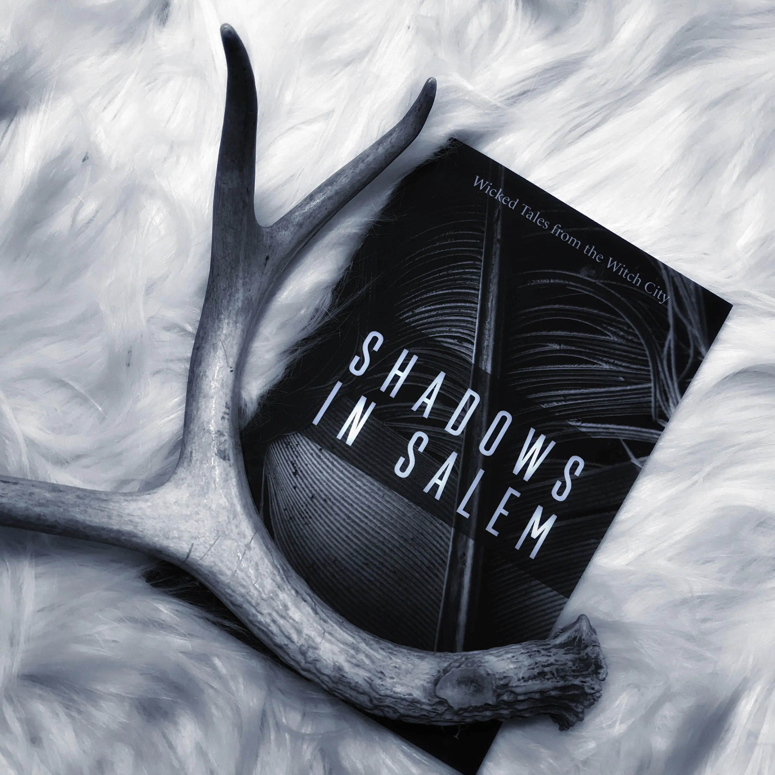 Shadows in Salem