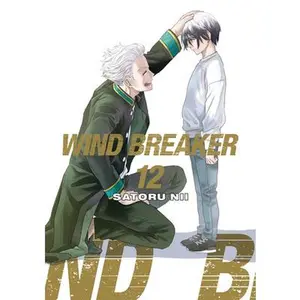 Wind Breaker 12 -- Satoru Nii - Paperback