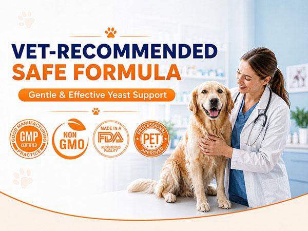 #backtoschool #sohochicCarmelie Yeast Infection Treatment for Dogs, 200 Chews Yeast Balance Healthy Itch Relief, Ear & Paw Odor Care, Allergy Supports, Helps Relieve Yeast Overgrowth, Chinken Flavor, Safe for All Ages Dogs,back to school #backtoschool #sohochicCarmelie Yeast Infection Treatment for Dogs, 200 Chews Yeast Balance Healthy Itch Relief, Ear & Paw Odor Care, Allergy Supports, Helps Relieve Yeast Overgrowth, Chinken Flavor, Safe for All Ages Dogs,back to school