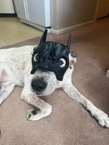 3D Printed Bat Mask for Dogs 🦇🐶