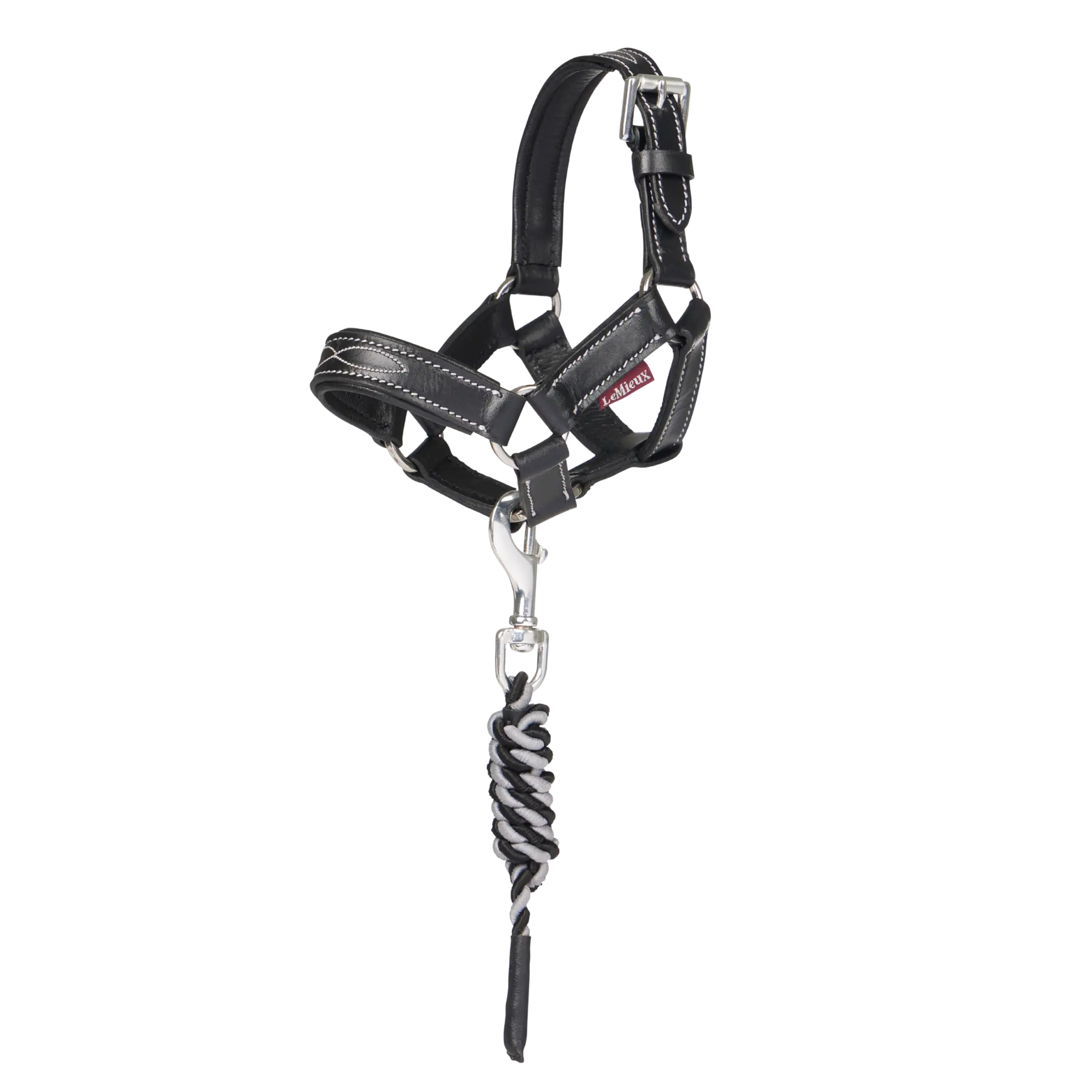 Lemieux Toy Pony Leather Headcollar & Leadrope