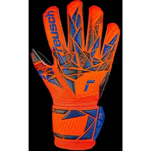 Reusch Attrakt Silver Junior