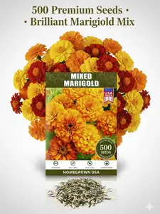 Mixed Marigold Seeds for Planting - African Marigold Seeds French Marigold Non-GMO Heirloom Garden Flower to Plant Open Pollinated Annual Flowers 500pcs seeds