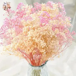 80g Natural Dried Gypsophila Real Baby Breath Flower Pink Beige Mix Bouquet Photography Props Home Table Wedding Car Decoration