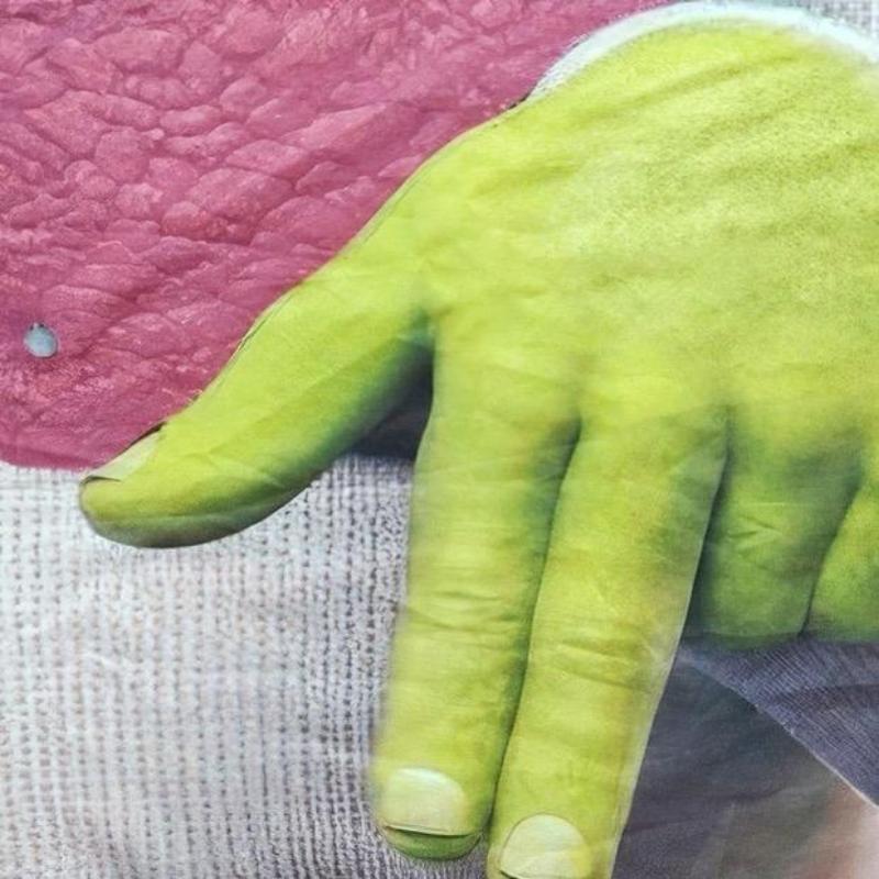 Tapestry  Funny Shrek Pink Tapestry 3x5 Get Out Of My Swamp Meme Tapestry Wall Hanging Dorm Backdrop Home Decor for Bedroom Living Room Decorative Landscape Table Light Peach Velvet Decoration