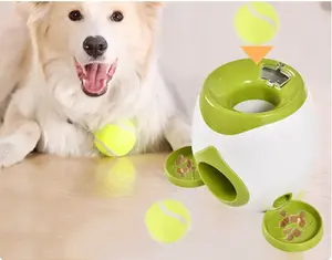 Interactive Smart Dog Feeder