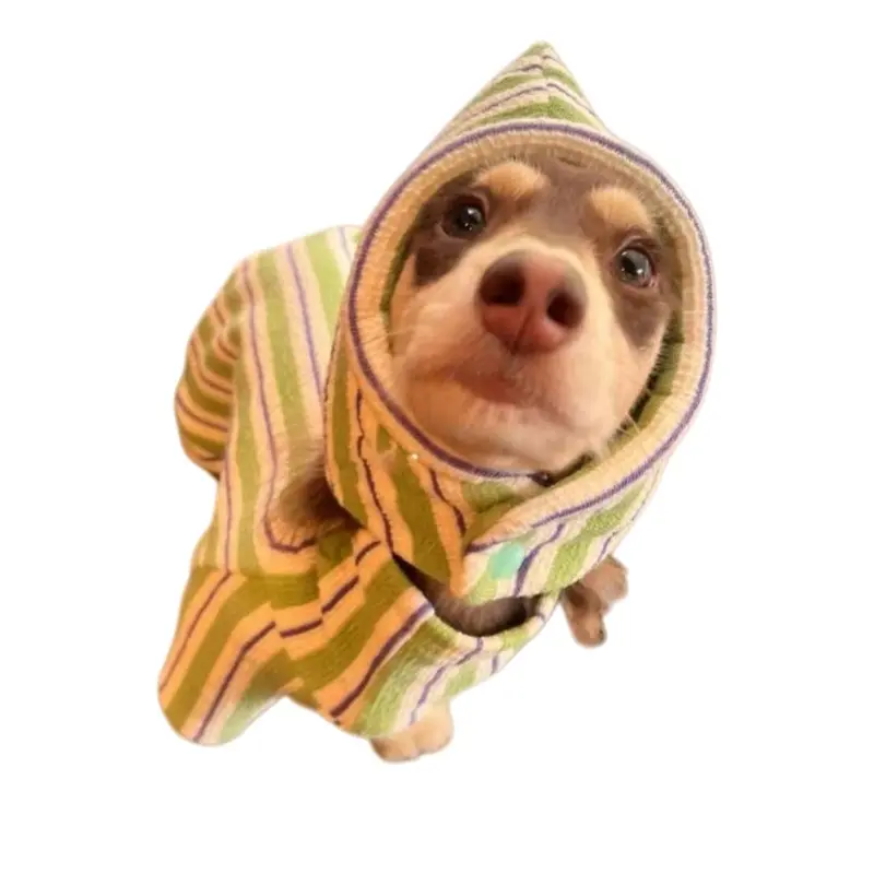Green Striped Polyester Dog Winter Vest & Hat Set - Reversible, Small Fit, All Seasons Clothes for Small-Medium Dachshunds