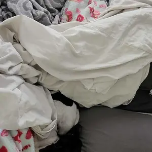 Product Review of Zesty Paws Probiotic Bites for Dogs - Canine Nutritional Supplement with Six Probiotics for Gut Health & Immune Function from M**y p**r 🐾**💕