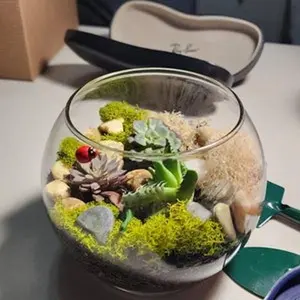 Terrarium kit, Small Succulent Terrarium Kit, DIY Glass Terrarium, Terrarium Gift