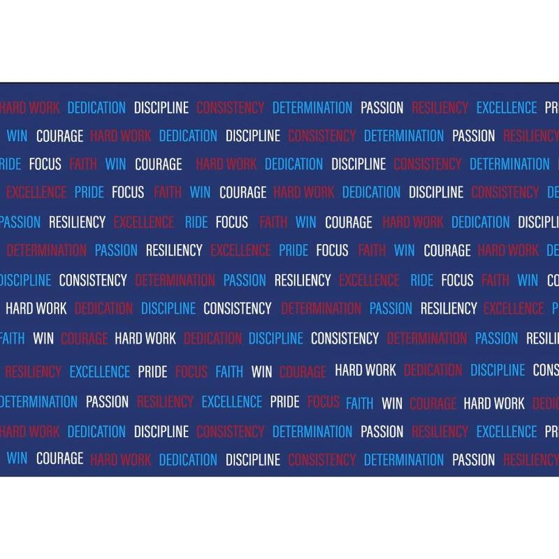 Inspirational Team USA Doggie Hoodie