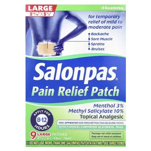 Salonpas Pain Relief Patch, Large, Minty, 9 Patches