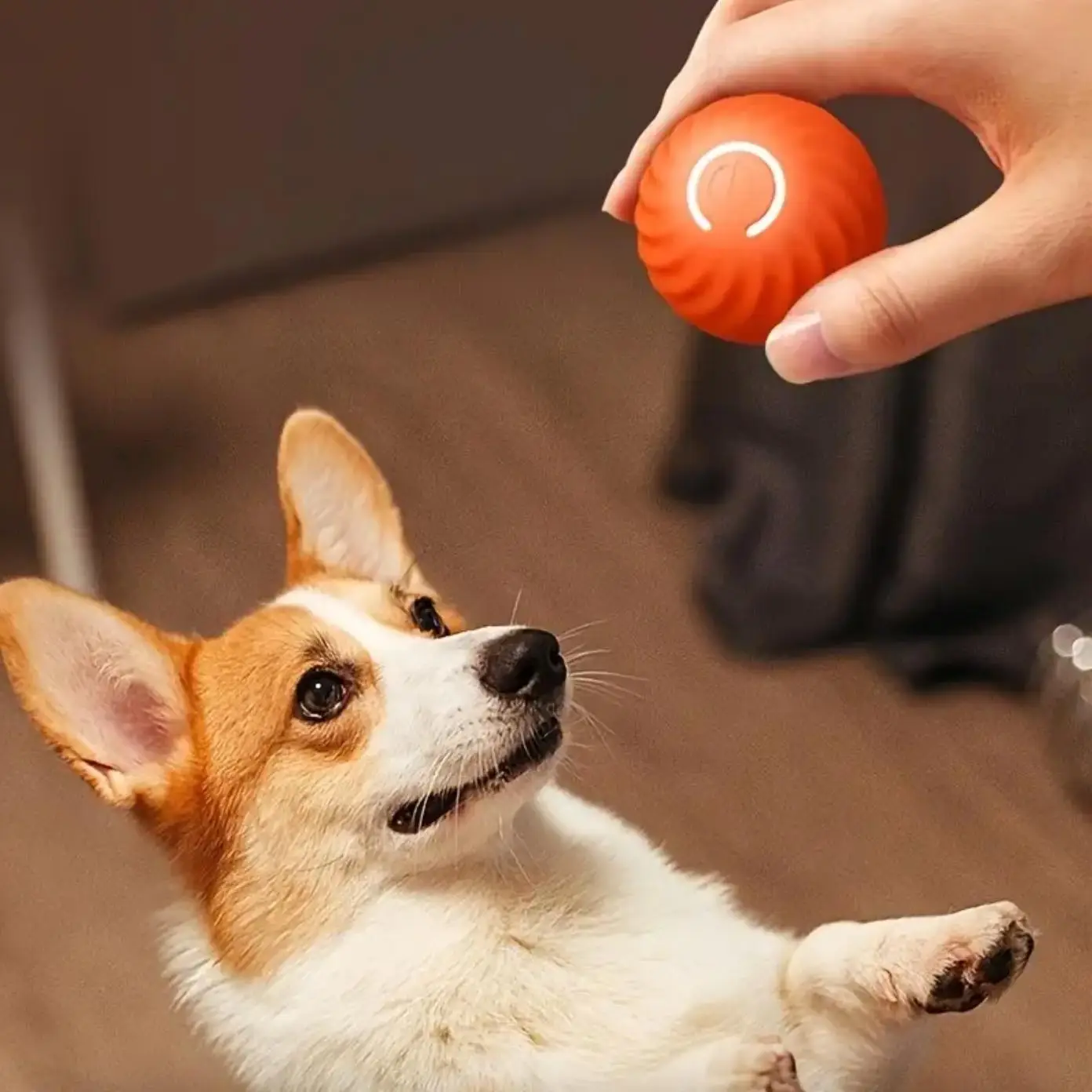 Automatic Rolling Dog Toy, Durable Dog Bouncing Ball, Dogs Teething Toy, Pet Interactive Toy, Grinding and Biting Toy Ball, Indoor Outdoor Fun Pet Sup