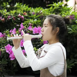 Irin Baroque Bj100 200 300 Premium Flute, High-Quality Woodwind Instrument, Perfect for Musicians & Students, Ideal for Concerts & Performances