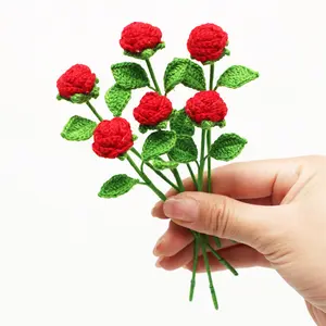 6pcs Mini Crochet Rose Handmade Flowers DIY Bouquet, Perfect Gift for Family Friends Birthday Valentine's Day Mother's Day Christmas