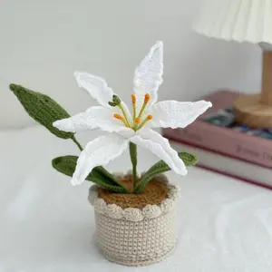 2026 Finished Cute Crochet Lily Flower Pot – Single or Double Bloom, Crochet Houseplant & Boho Decor Gift, Gift for Teacher, Home Decor