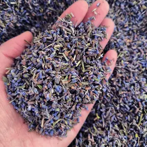 1 Pound Lavender, Dried Lavender,Dried Flowers, Dried Plants, Pillow Stuffing, Sachet Filling Material,DIY Aromatherapy Candle Making,Soap Making,Jewelry Making,DIY Handicrafts,Christmas Gifts,Mother's Day Decorations,Halloween Decorations