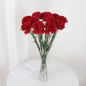 12pcs Vibrant Artificial Carnation Bouquet, Fade-Resistant Plastic Flowers, Indoor/outdoor Decoration, Perfect for Weddings, Holidays