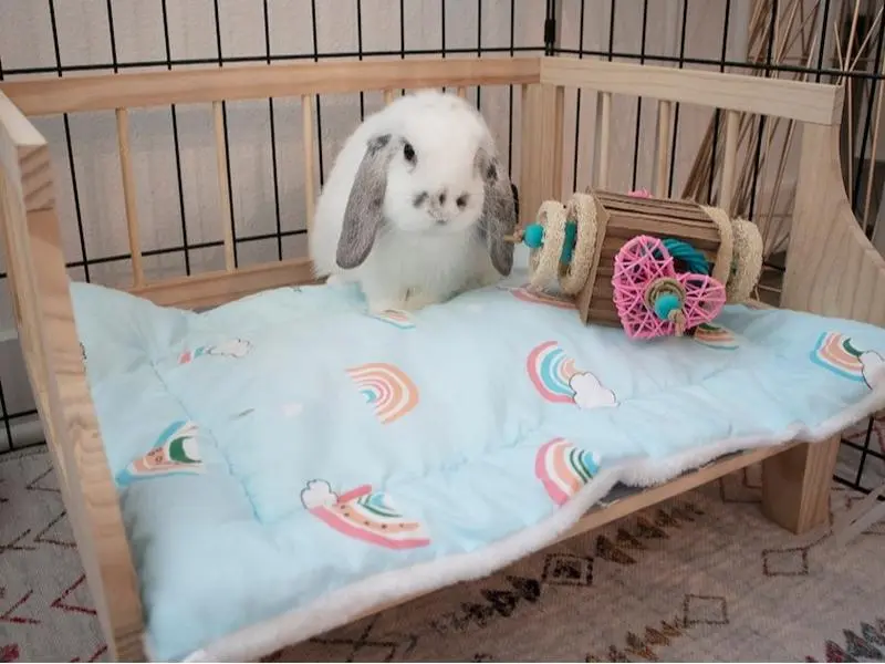 Wooden Bunny Bed