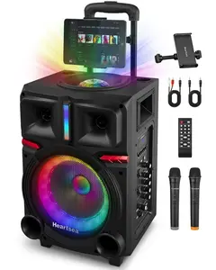Karaoke Machine for Adults,PA System,Bluetooth Connection,Disco Ball Light for Party,two wireless microphone