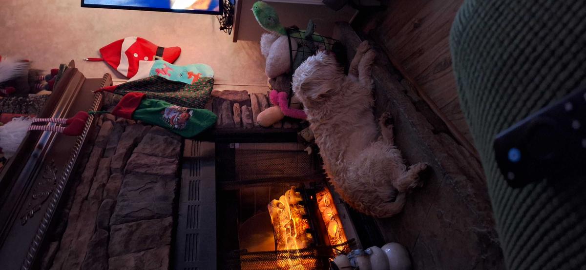 Item: L360CP (with sound effect)