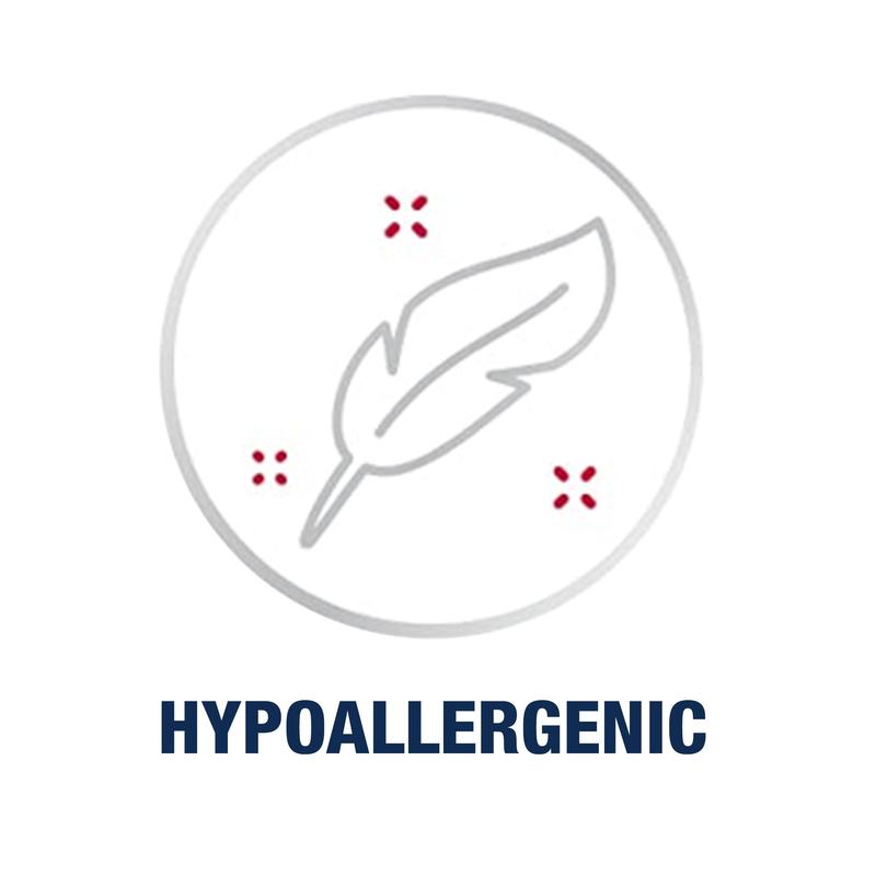 Aquaphor Repairing Foot & Hand Masks Bundle 2+2 with Avocado Oil & Shea Butter for Intense Hydration in 10 Minutes Gentle Formula Fragrance Free Moisturizer