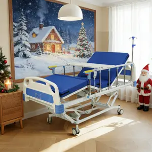 Advanced three-function fully electric medical bed (including mattress and IV pole), a high-quality medical bed equipped with lockable casters and electric motors.