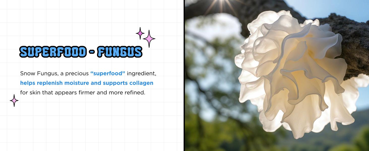 CHASIN' RABBITS Magic Beauty Shroom Essence | Korean Skin Care Nourishing and Hydrating Essence | Boosting Skin Care Essence with Tremella Mushroom Extract for Sensitive, Dry Skin (200mL/6.76 fl oz)