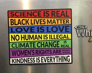 Auto Magnet Science is Real Black Lives Matter Love is Love Where I stand on Social Issues Magnetized Car Decal