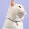 Heart Shaped Artificial Diamond Pet Collar, Aesthetic Cute Cat Collar, Cat And Dog Accessory