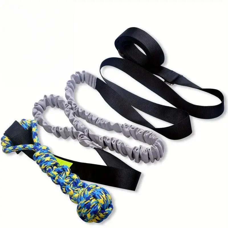 Outdoor Bungee Tug Toy for Dogs, Interactive Exercise Play Cord & Tether, Durable Chew Rope Design, Perfect for All Breeds Outside
