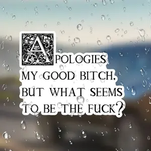 Funny Waterproof Stickers, Decorative Sticker, Humorous Quotes, Durable and Long-Lasting, Perfect for Laptops, Water Bottles, Journals, and More!