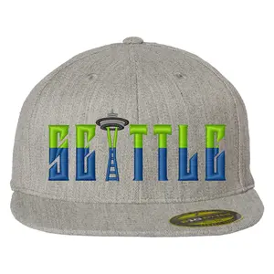 Seattle Football 3D Puff Embroidered Hat